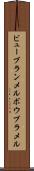 ビューブランメル Scroll