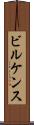 ビルケンス Scroll