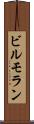 ビルモラン Scroll