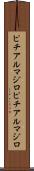 ピチアルマジロ Scroll