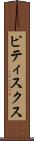ピティスクス Scroll