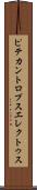 ピテカントロプス・エレクトゥス Scroll