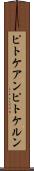 ピトケアン Scroll