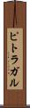 ピトラガル Scroll