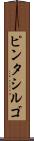 ピンタシルゴ Scroll