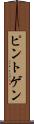 ピントゲン Scroll