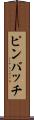 ピンバッチ Scroll