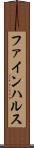 ファインハルス Scroll