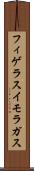 フィゲラスイモラガス Scroll