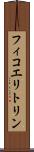フィコエリトリン Scroll