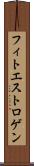 フィトエストロゲン Scroll