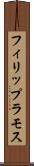 Phillip Ramos Scroll