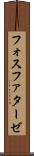 フォスファターゼ Scroll