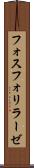 フォスフォリラーゼ Scroll