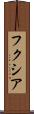 フクシア Scroll