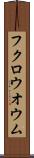 フクロウオウム Scroll