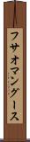 フサオマングース Scroll