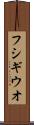 フシギウオ Scroll