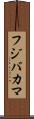 フジバカマ Scroll
