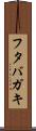 フタバガキ Scroll