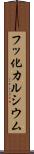 フッ化カルシウム Scroll