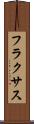 フラクサス Scroll