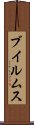 ブイルムス Scroll