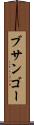 ブサンゴー Scroll