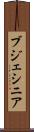 ブジェシニア Scroll
