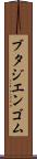 ブタジエンゴム Scroll