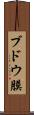 ブドウ膜 Scroll