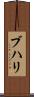 ブハリ Scroll
