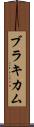 ブラキカム Scroll