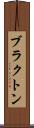 ブラクトン Scroll