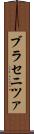 ブラセニツァ Scroll