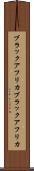 ブラックアフリカ Scroll