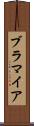 ブラマイア Scroll