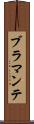 ブラマンテ Scroll