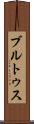 ブルトゥス Scroll