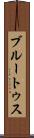 ブルートゥス Scroll