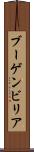 ブーゲンビリア Scroll