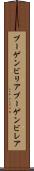 ブーゲンビリア Scroll