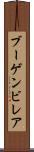 ブーゲンビレア Scroll