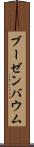 ブーゼンバウム Scroll
