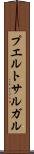 プエルトサルガル Scroll