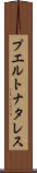 プエルトナタレス Scroll