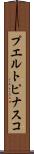 プエルトピナスコ Scroll