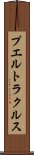 プエルトラクルス Scroll