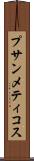 プサンメティコス Scroll