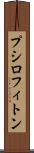 プシロフィトン Scroll